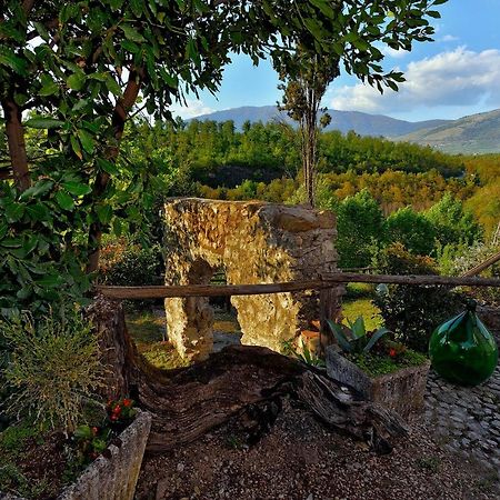 Tenuta Di Vico Moricino Anagni Zewnętrze zdjęcie