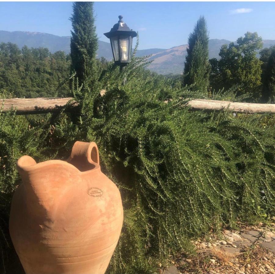 Tenuta Di Vico Moricino Anagni Zewnętrze zdjęcie