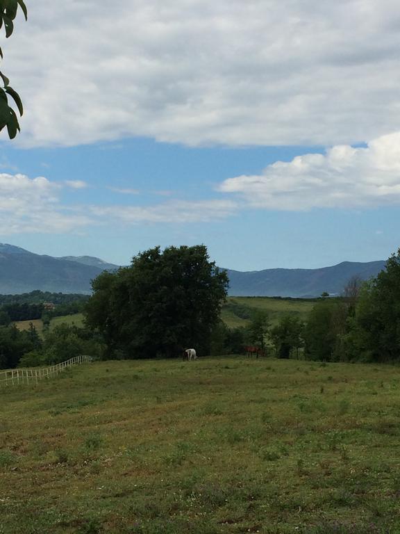 Tenuta Di Vico Moricino Anagni Pokój zdjęcie