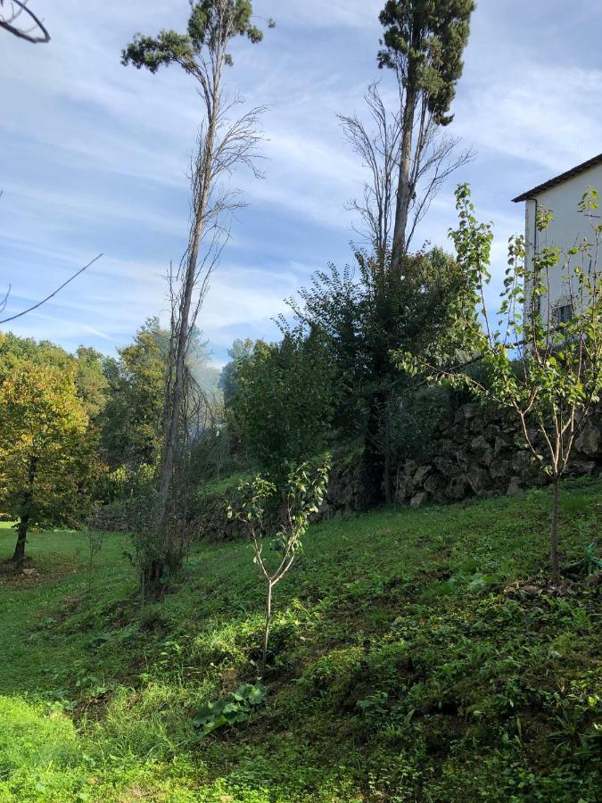 Tenuta Di Vico Moricino Anagni Zewnętrze zdjęcie